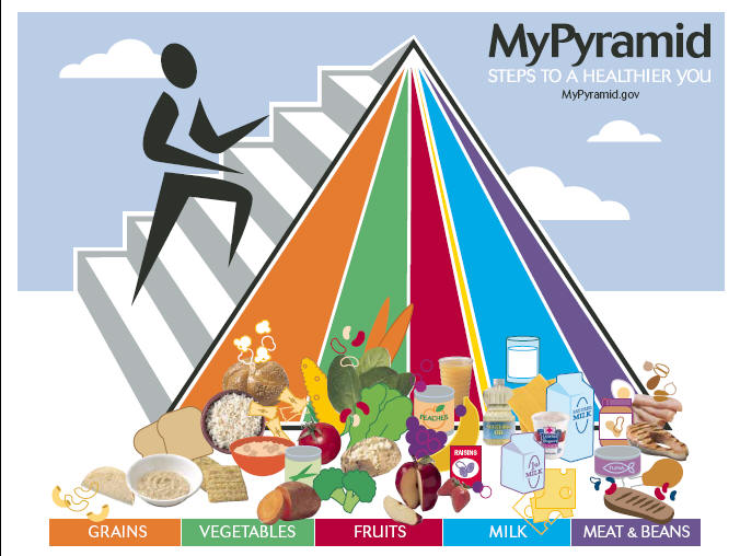 food pyramid for children. My Food Pyramid.
